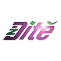 logo DÍTĚ SPEDITION s.r.o.